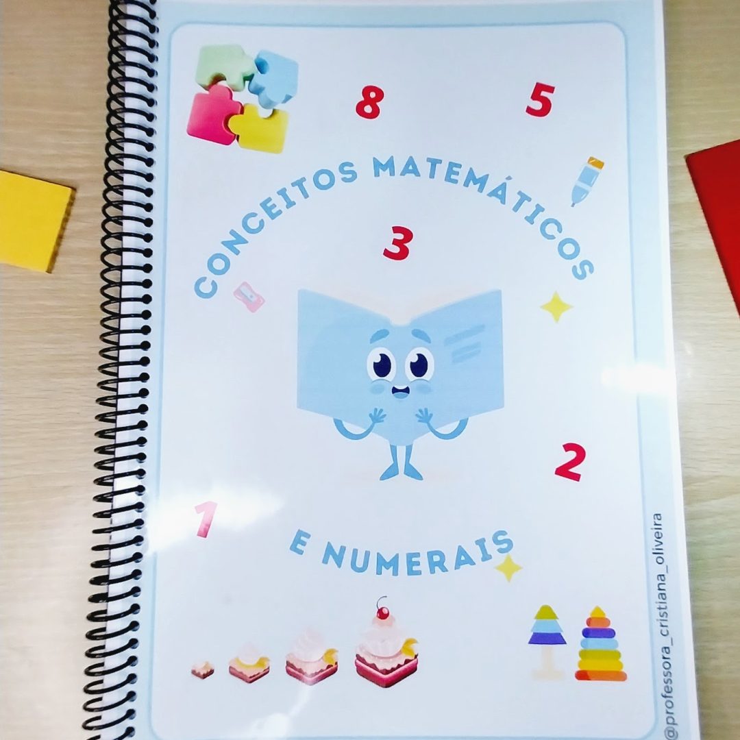CONCEITOS MATEMÁTICOS E NUMERAIS
